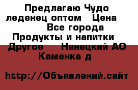 Предлагаю Чудо леденец оптом › Цена ­ 200 - Все города Продукты и напитки » Другое   . Ненецкий АО,Каменка д.